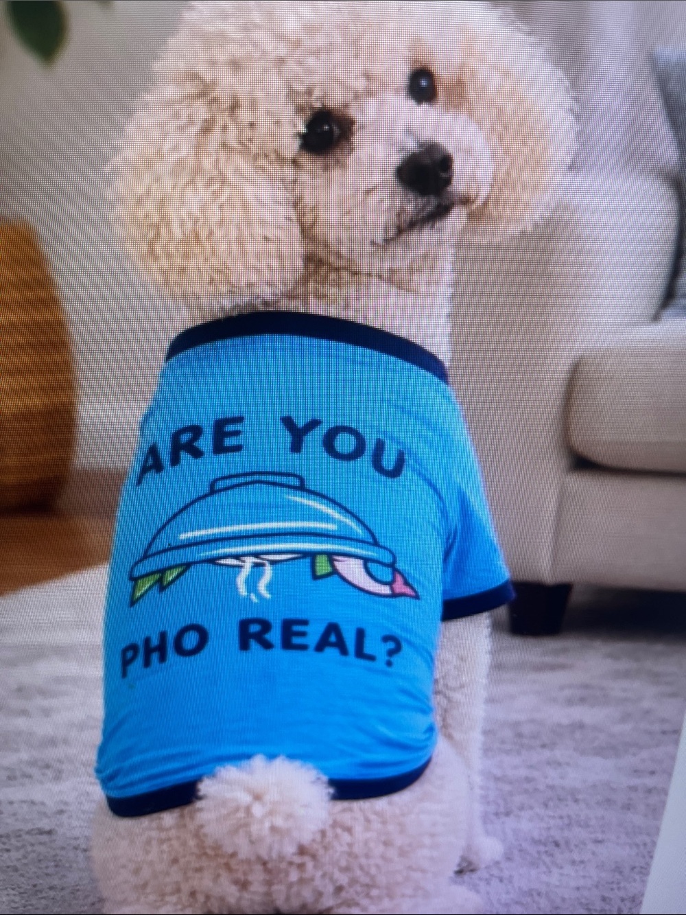 Light Blue 'Are You Pho Real?' Dog Tee - Comfortable Graphic Tee